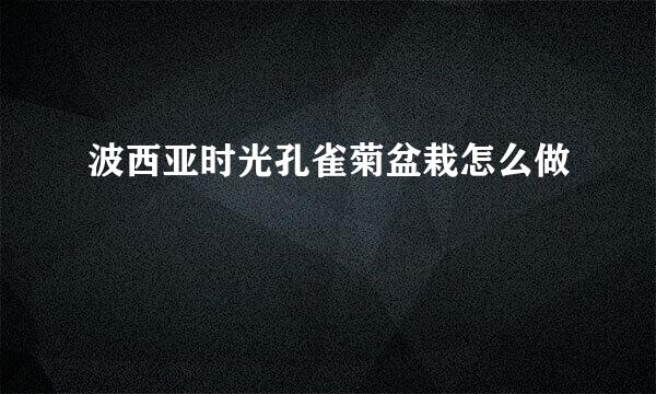 波西亚时光孔雀菊盆栽怎么做