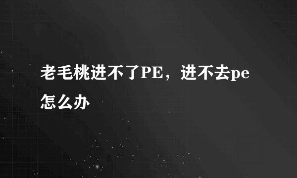 老毛桃进不了PE，进不去pe怎么办