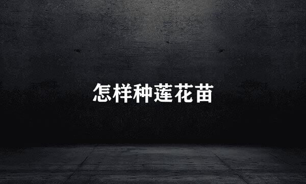 怎样种莲花苗