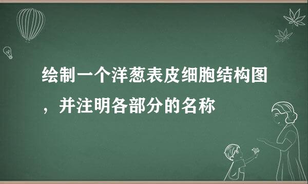 绘制一个洋葱表皮细胞结构图，并注明各部分的名称