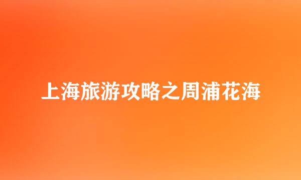 上海旅游攻略之周浦花海