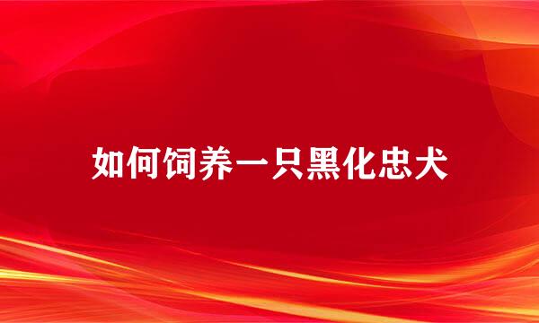 如何饲养一只黑化忠犬