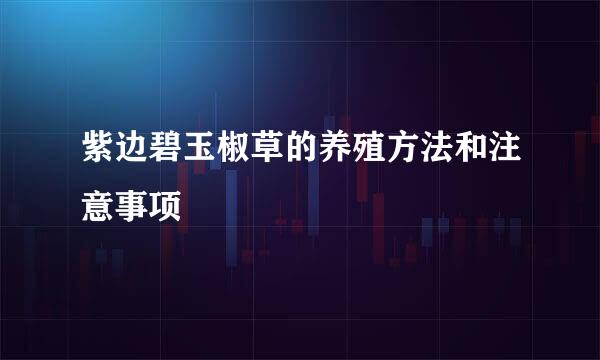 紫边碧玉椒草的养殖方法和注意事项