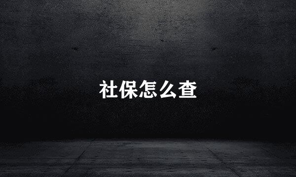 社保怎么查