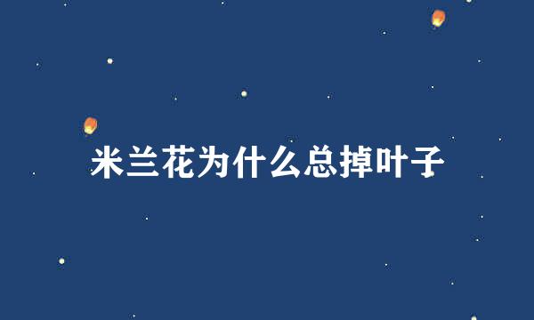 米兰花为什么总掉叶子