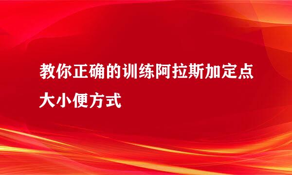 教你正确的训练阿拉斯加定点大小便方式