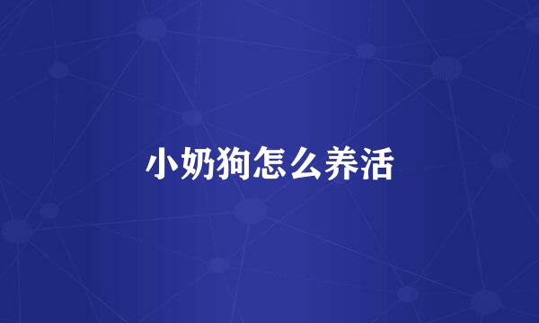 小奶狗怎么养活
