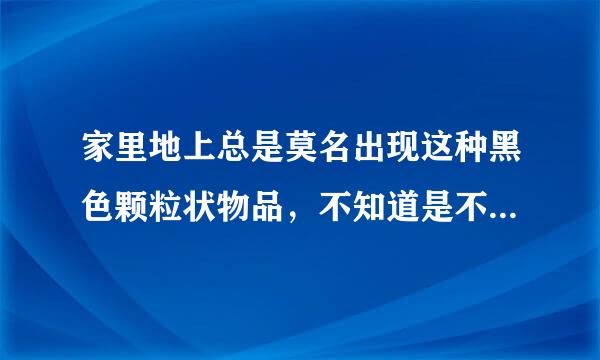 家里地上总是莫名出现这种黑色颗粒状物品，不知道是不是老鼠屎