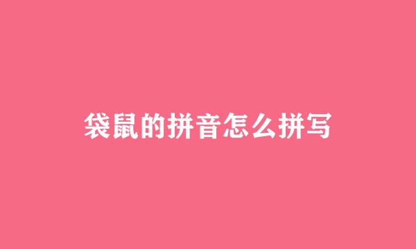 袋鼠的拼音怎么拼写