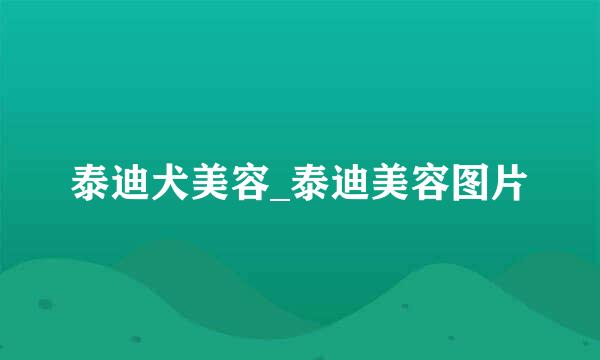 泰迪犬美容_泰迪美容图片