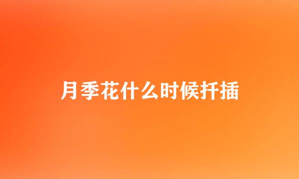 月季花什么时候扦插