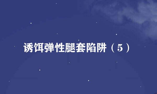 诱饵弹性腿套陷阱（5）