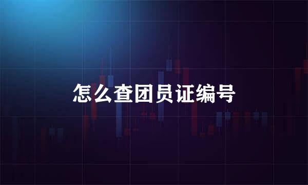 怎么查团员证编号