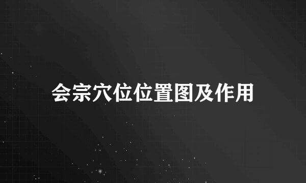 会宗穴位位置图及作用
