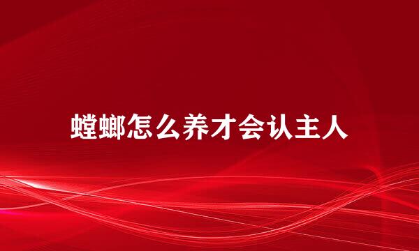 螳螂怎么养才会认主人