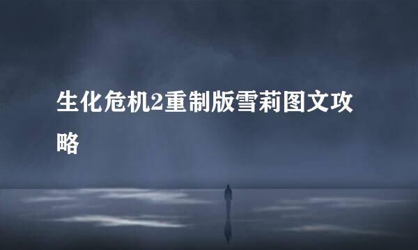 生化危机2重制版雪莉图文攻略