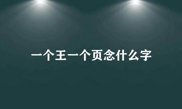 一个王一个页念什么字