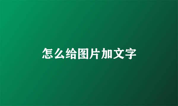 怎么给图片加文字