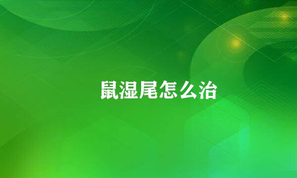 倉鼠湿尾怎么治