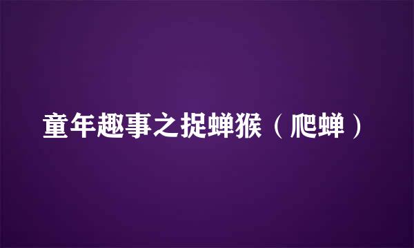 童年趣事之捉蝉猴（爬蝉）