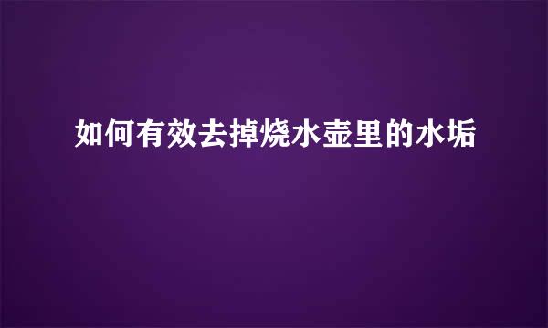 如何有效去掉烧水壶里的水垢