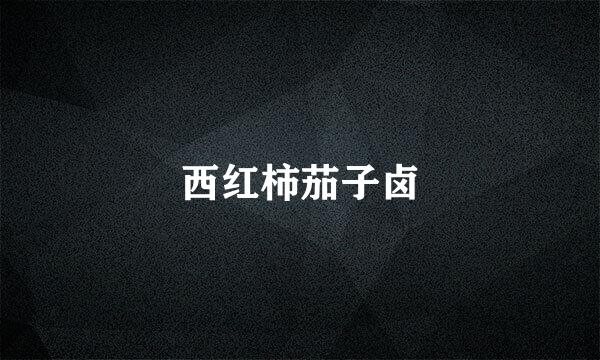 西红柿茄子卤