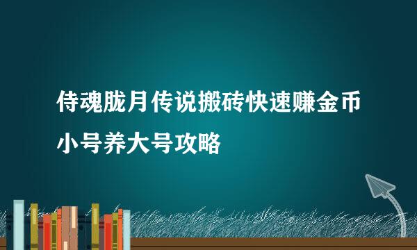 侍魂胧月传说搬砖快速赚金币小号养大号攻略