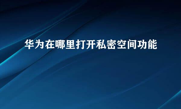 华为在哪里打开私密空间功能