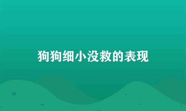 狗狗细小没救的表现