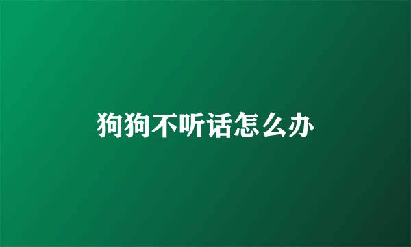 狗狗不听话怎么办