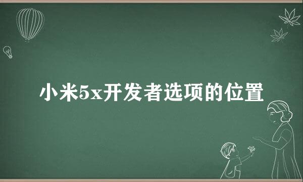 小米5x开发者选项的位置