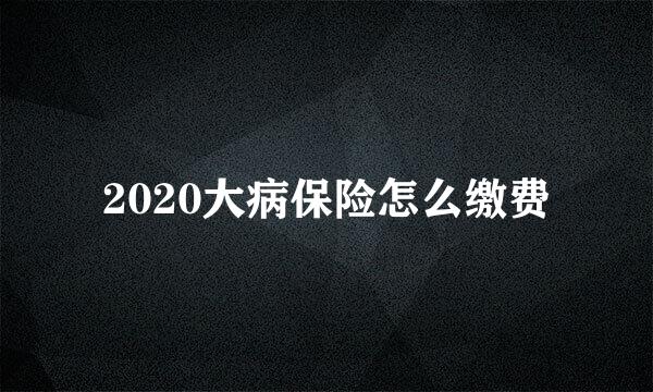 2020大病保险怎么缴费