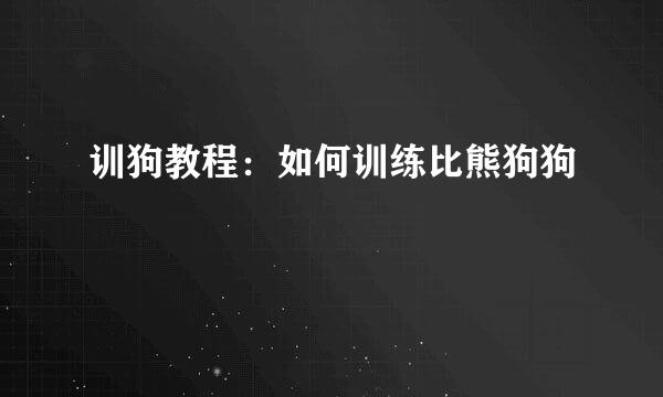 训狗教程：如何训练比熊狗狗