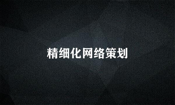 精细化网络策划
