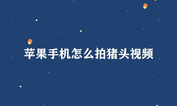苹果手机怎么拍猪头视频