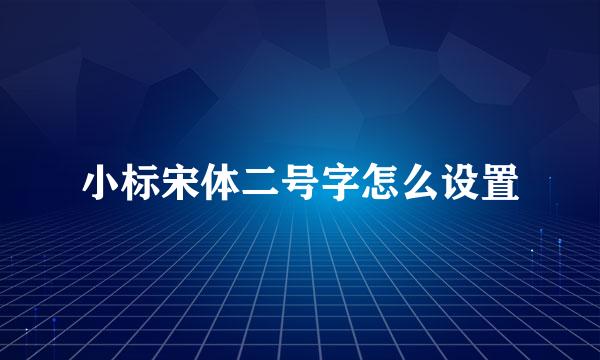 小标宋体二号字怎么设置