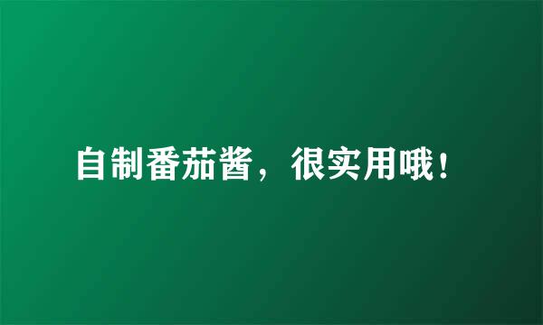 自制番茄酱，很实用哦！