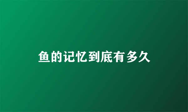 鱼的记忆到底有多久