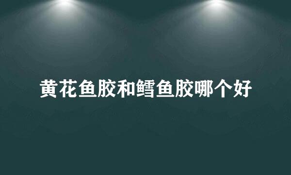 黄花鱼胶和鳕鱼胶哪个好