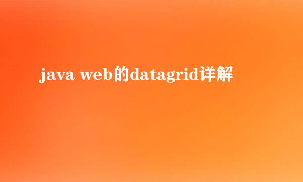 java web的datagrid详解