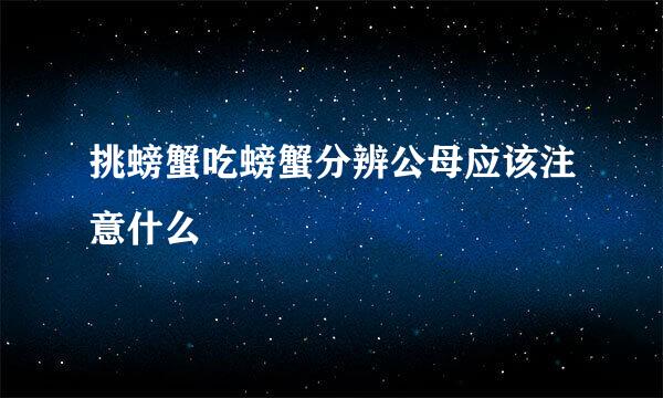 挑螃蟹吃螃蟹分辨公母应该注意什么