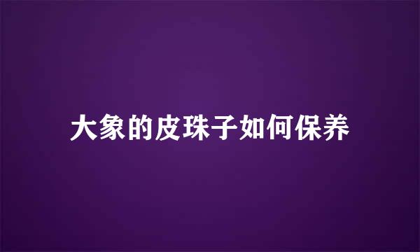 大象的皮珠子如何保养