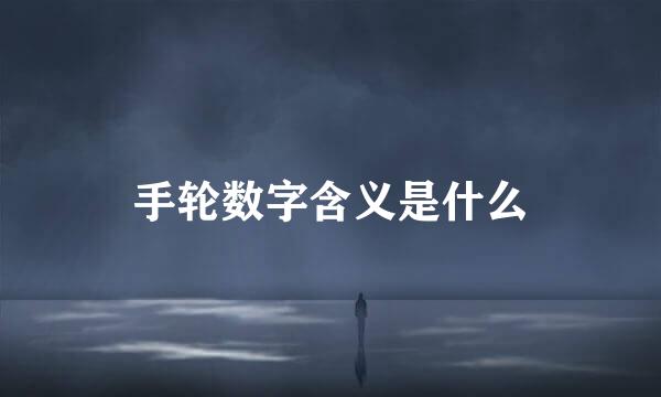 手轮数字含义是什么