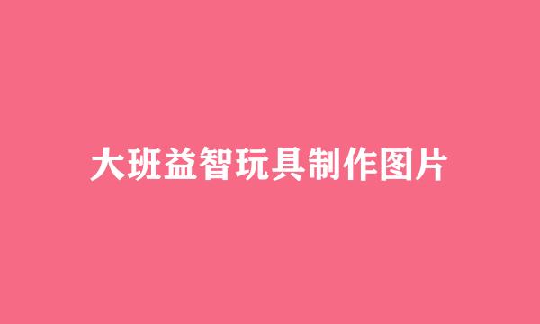 大班益智玩具制作图片