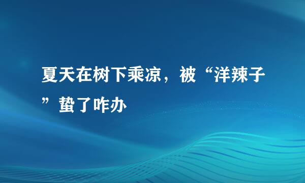 夏天在树下乘凉，被“洋辣子”蛰了咋办