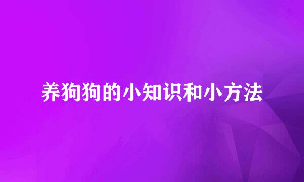 养狗狗的小知识和小方法