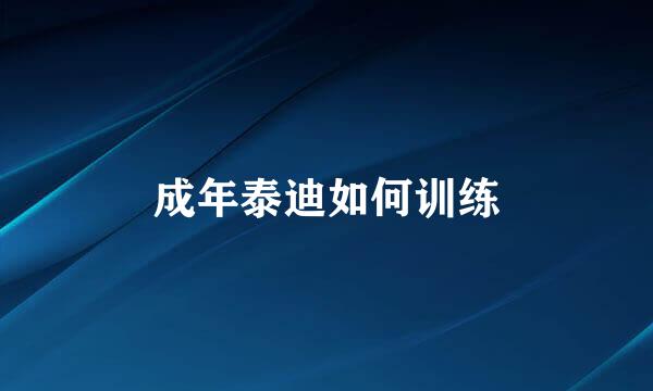 成年泰迪如何训练