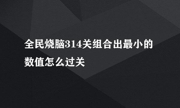 全民烧脑314关组合出最小的数值怎么过关