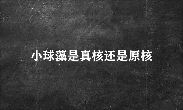 小球藻是真核还是原核