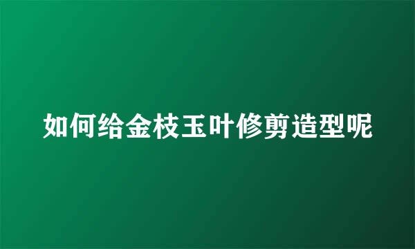 如何给金枝玉叶修剪造型呢